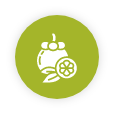 Garcinia Cambogia